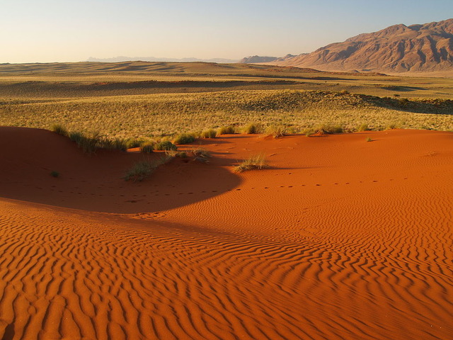 Red_sand_dune_in_Namibia