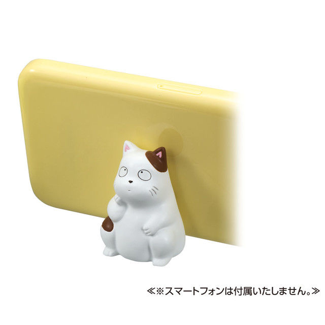 news_xlarge_kotatsuneko