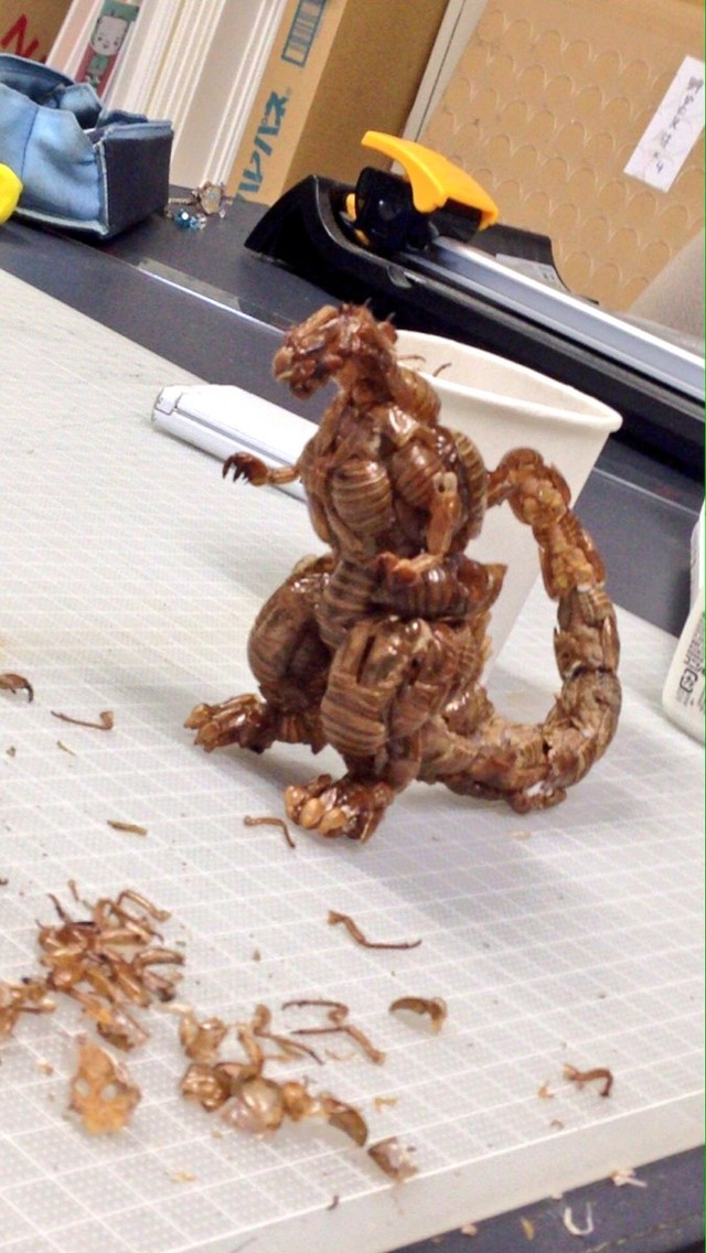 img1