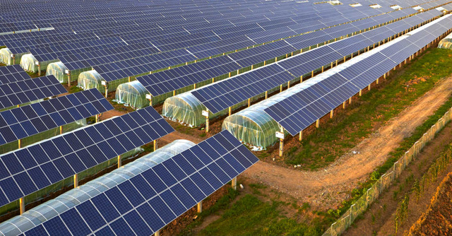 Greenhouses and solar panels