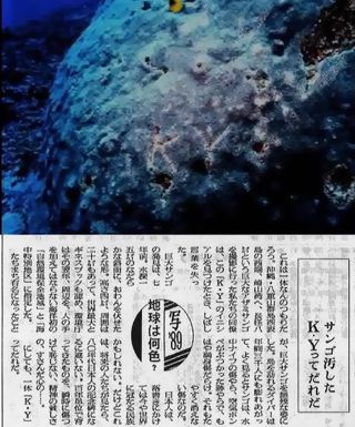 20160608091834253